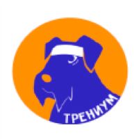 Онлайн-школа Трениум